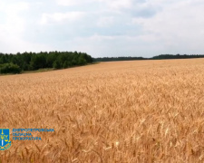 Фото Дніпропетровська обласна прокуратура