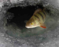 фото пресслужби Дніпропетровської ОВА