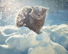 Чи чекає на нас арктична зима - фото ілюстративне з відкритих джерел  