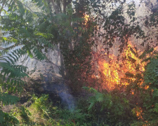 Фото пресслужби Дніпропетровської ОВА