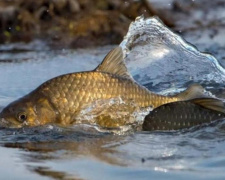 Фото пресслужби Дніпропетровської ОВА
