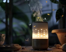 Які ефірні олії допоможуть позбутися комах і мишей у домі - фото з відкритих джерел