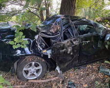 Моторошна аварія на Криворіжжі: загинула жінка, двоє чоловіків отримали травми (фото)
