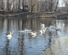 Криворізький вікенд: як провести час з родиною у Великодні вихідні