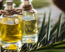 Пальмова олія - фото з відкритих джерел