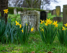 Поминальні традиції України: історія та значення Провідної неділі - фото з відкритих джерел