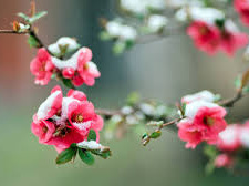 Погода в уїк-енд - фото ілюстративне з відкритих джерел