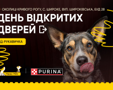 Майже 200 хвостатих чекають на свій дім: у Кривому Розі влаштують День відкритих дверей у притулку