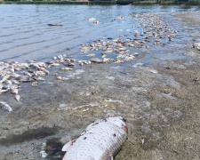 Фото Віталій Соловей