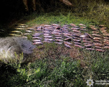 Фото Національна поліція