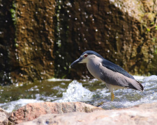 Фото Віктора Севідова