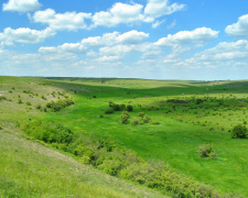 Погода на тиждень - фото ілюстративне з відкритих джерел 