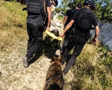 Зірвався з берега і не міг піднятися дві доби: на Криворіжжі врятували 69-річного чоловіка