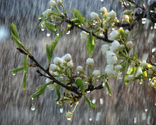 Погодні контрасти квітня: де буде тепло, а де дощитиме - фото з відкритих джерел