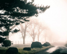Фото з відкритих джерел