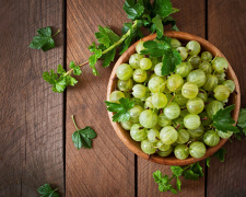 Аґрус цінна ягода літа - фото ілюстративне з відкритих джерел  