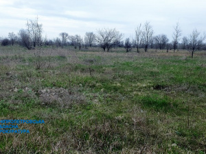 Фото: Дніпропетровська обласна прокуратура
