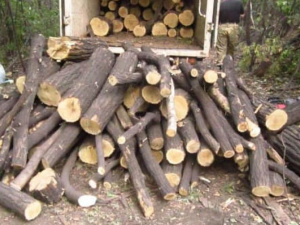 Фото пресс-службы Криворожского отдела полиции