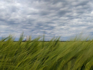 Фото редакції krivbass.city