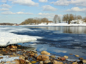 Теплий січень - фото з відкритих джерел
