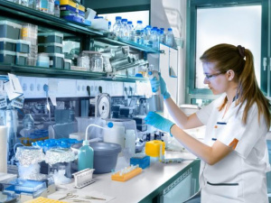 Фото із мережі Інтернет