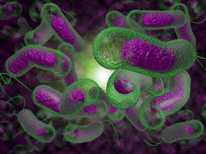 Фото Дніпропетровського обласного ЦКПХ