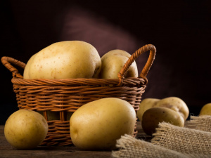 Фото ілюстративне з відкритих джерел     