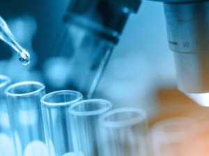 Фото из сети Интернет