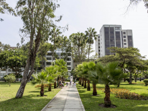 Перу в березні: екзотика, яка коштує дешевше, ніж здається - фото з відкритих джерел