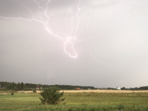 Фото з відкритих джерел