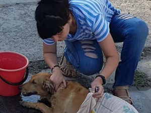 Фото Маргариты Кошкаревой