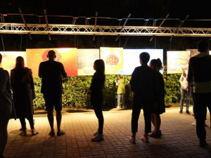 «Монолог» Ренато Ортіса: у Кривому Розі відбулась нічна виставка