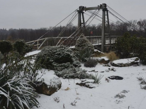 Фото: Криворожский ботанический сад