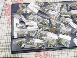 Фото пресс-службы Криворожского районного отдела полиции