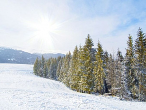 Фото: Depositphotos