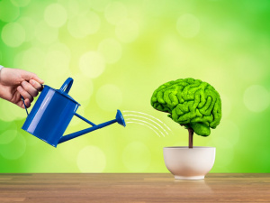 Мозок не старіє: як тренувати пам’ять у будь-якому віці - фото з відкритих джерел