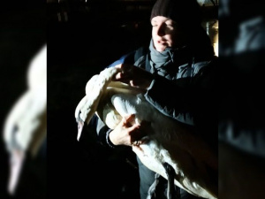 Фото пресс-службы ГСЧС Днепропетровской области