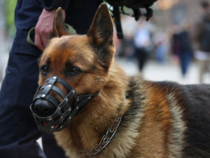 Фото редакції krivbass.city 