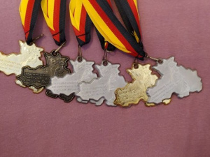 Плавець з Кривого Рогу посів призові місця на регіональному чемпіонаті в Німеччині