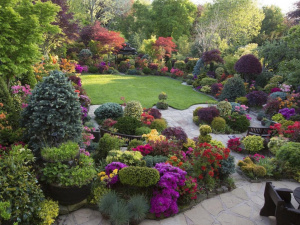 Осіння посадка: які цибулинні квіти варто висадити у жовтні - фото з відкритих джерел