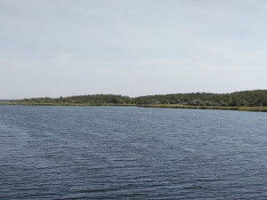 Фото з відкритих джерел
