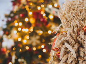 Фото з відкритих джерел