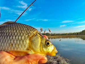 Літня риболовля у спеку - фото з відкритих джерел