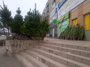 Фото krivbass.city