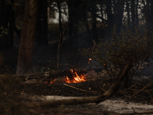 Екосистеми Дніпропетровщини палають, фото пресслужби Дніпропетровської ОВА
