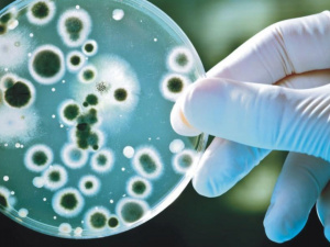 Фото з відкритих джерел