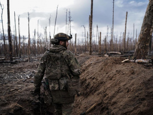 Фото з відкритих джерел