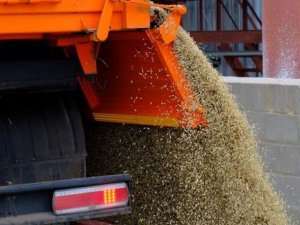 Цього року на Дніпропетровщині зібрали понад 3,5 млн тонн зерна