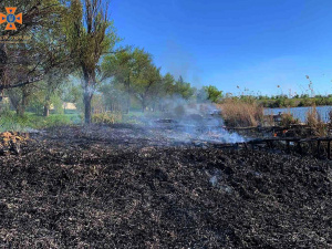 У Покровському районі сталася пожежа біля водойми: постраждали дві дитини