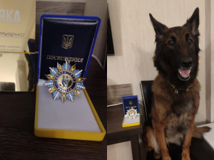 Фото Лариса Борисенко